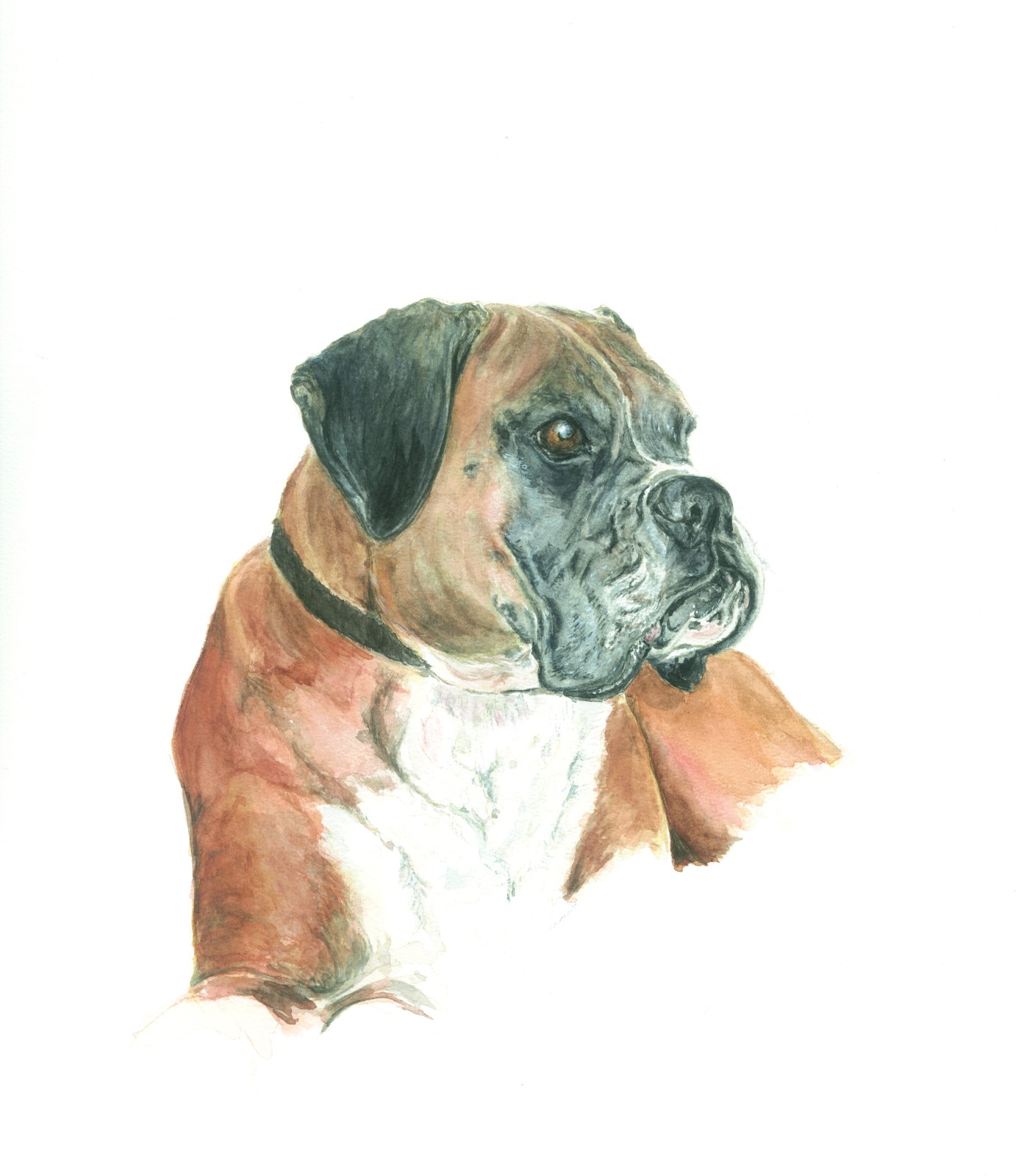 Hunde die nicht nur bellen