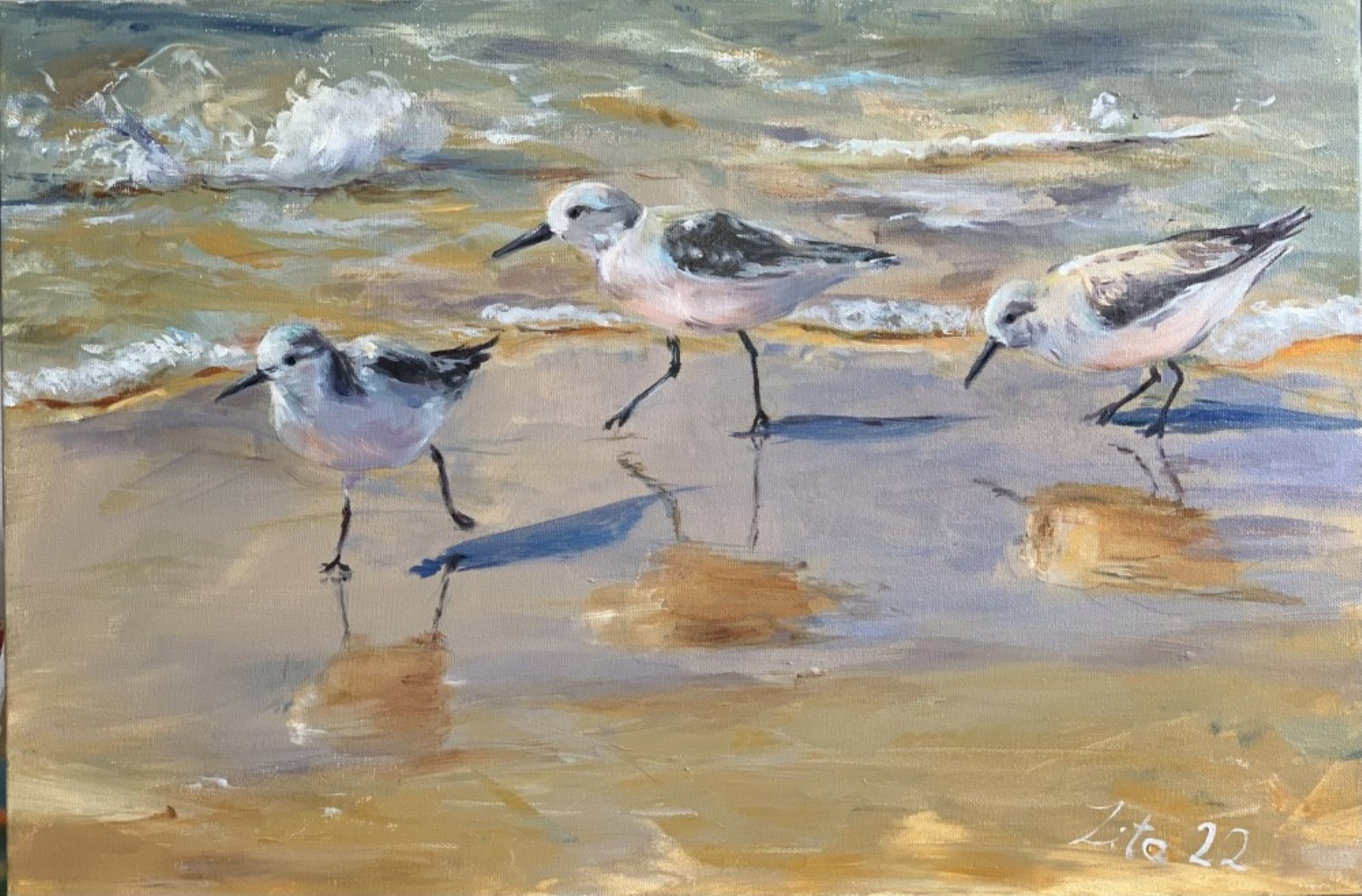 Vögel die sich sehen lassen können